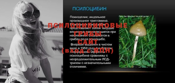 СК Алексин