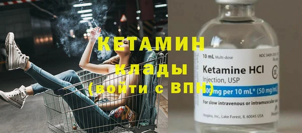амф Болотное