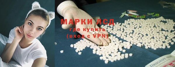 СК Алексин