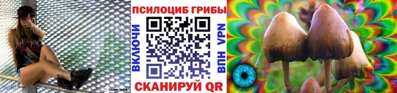 Галлюциногенные грибы Psilocybe  закладки  Бикин 